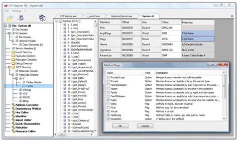 cff explorer tool.